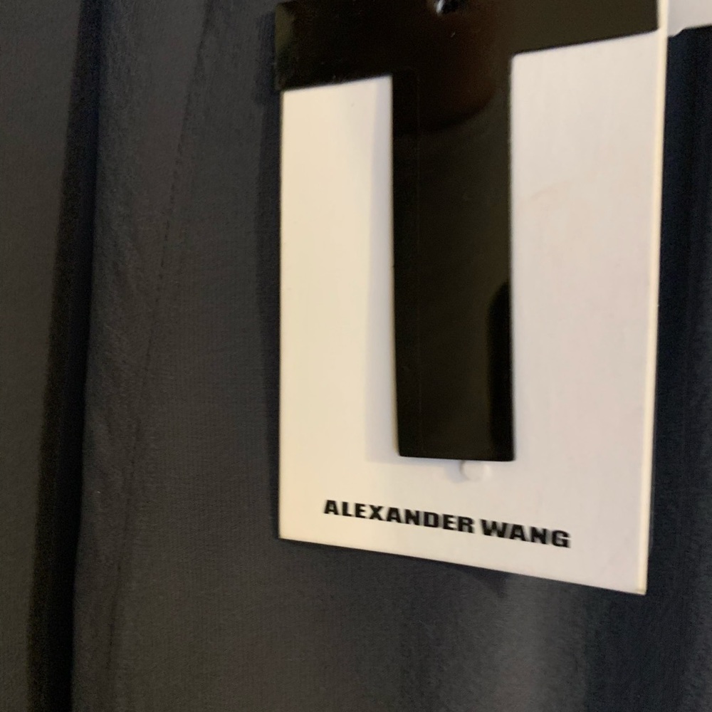 Alexander Wang Gray Long Silk Dress
